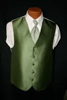 dark green vest and striped tie