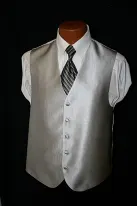 silver vest and black striped tie