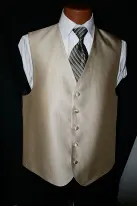 tan vest and black striped tie