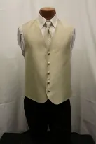 tan vest and tie