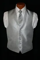 silver vest and tie