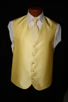 yellow vest striped tie