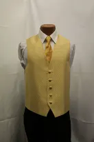 yellow-vest